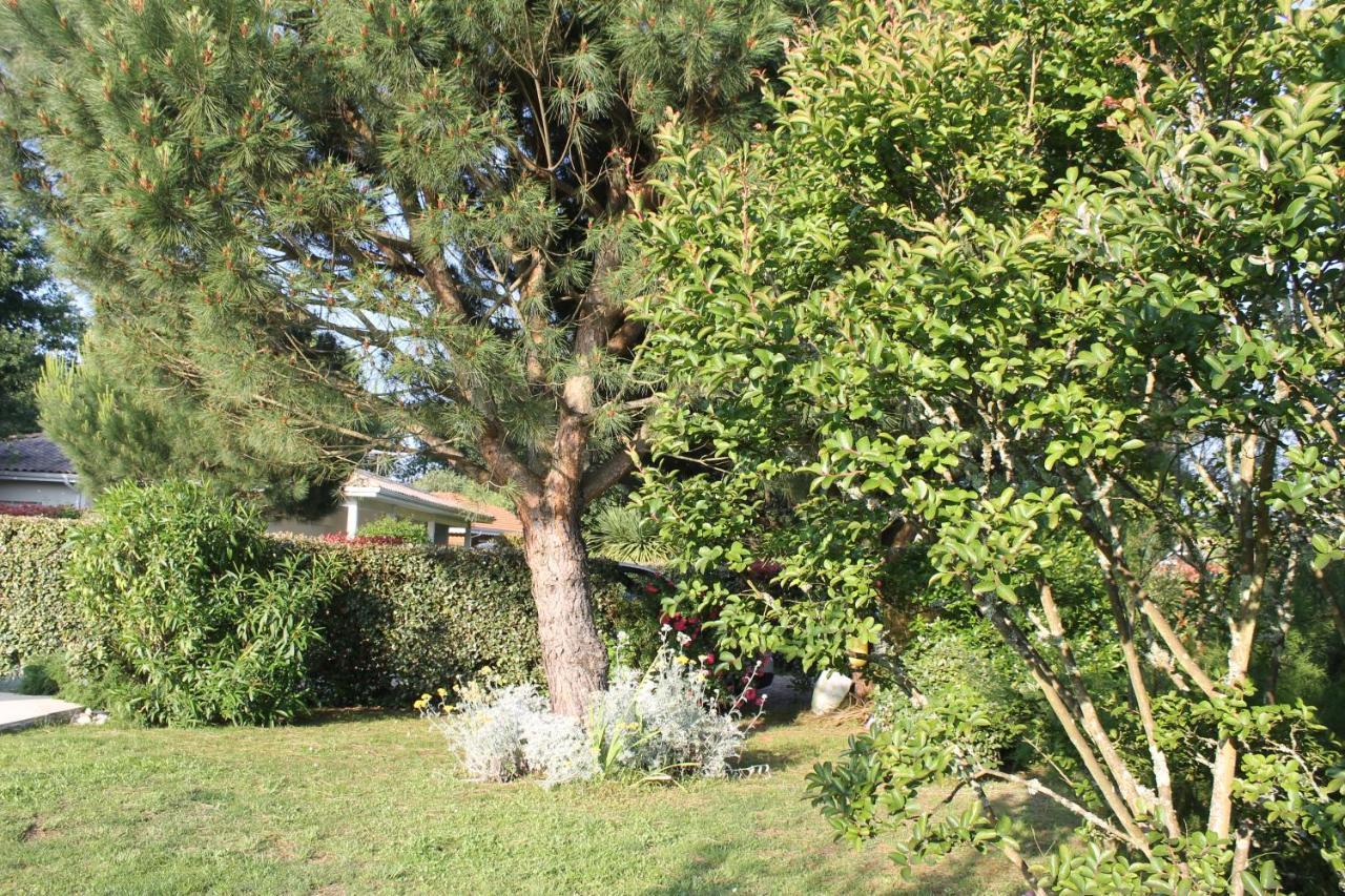 Chez Sophie Otel Lège-Cap-Ferret Dış mekan fotoğraf